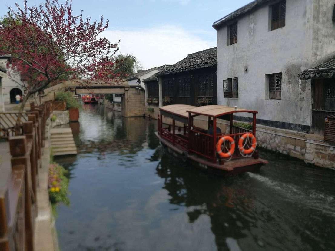 竹节虾的家常做法游戏画面